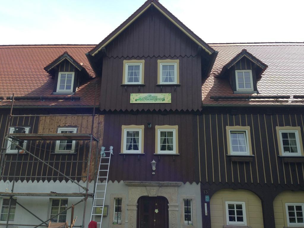 Pension Immergruen Kurort Jonsdorf Exterior foto